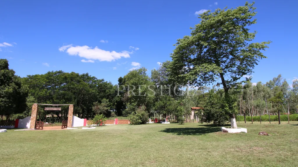Vendo Rancho Ara de 10 Hectareas En Isla Pucu Cordillera — foto 3