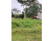 Vendo terreno de 1 hectárea en Mora Cue Luque