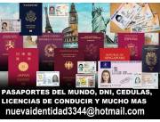 Pasaportes DNI licencias de conducir y mas