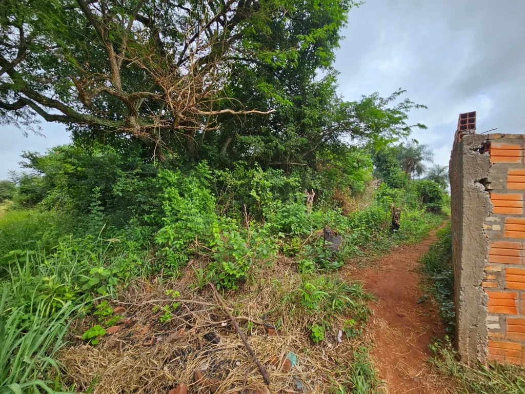 Vendo 4 Hectáreas en Villeta, 400 mts sobre ruta — foto 2