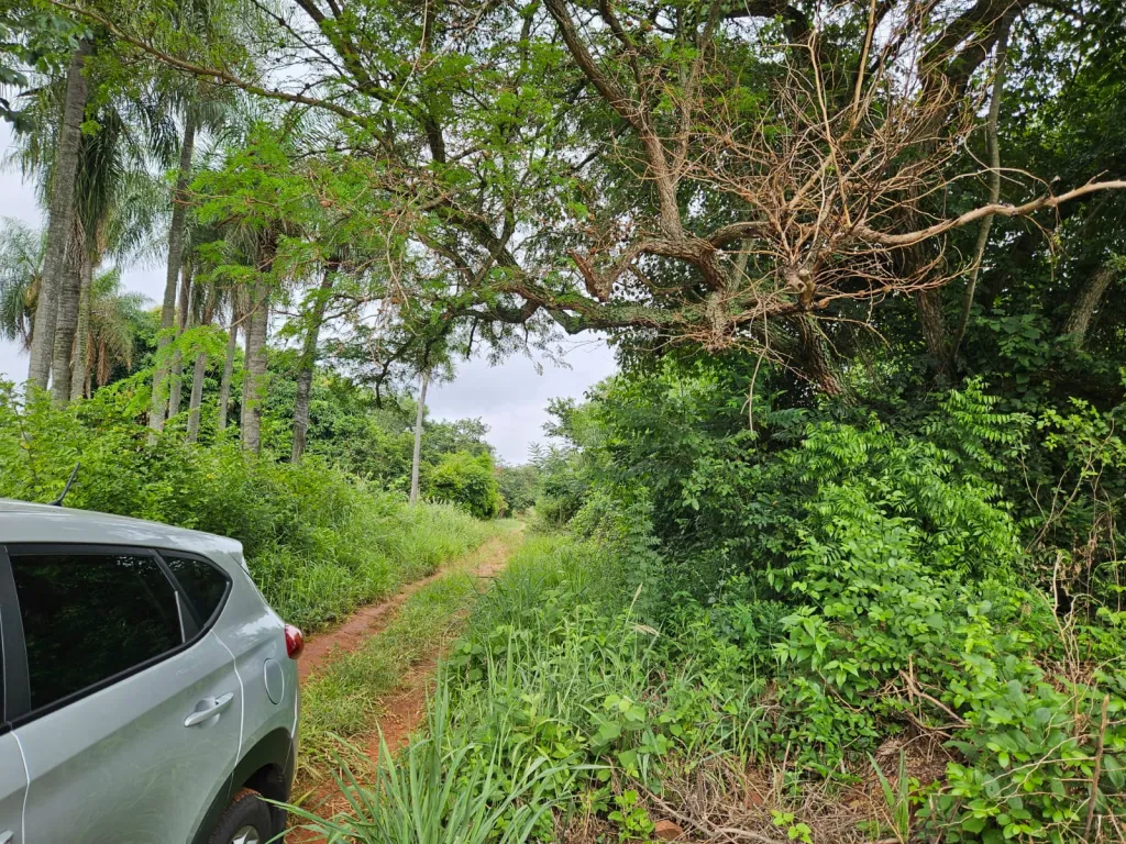 Vendo 4 Hectáreas en Villeta, 400 mts sobre ruta — foto 3