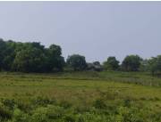 Campo con Salida al Rio Parana