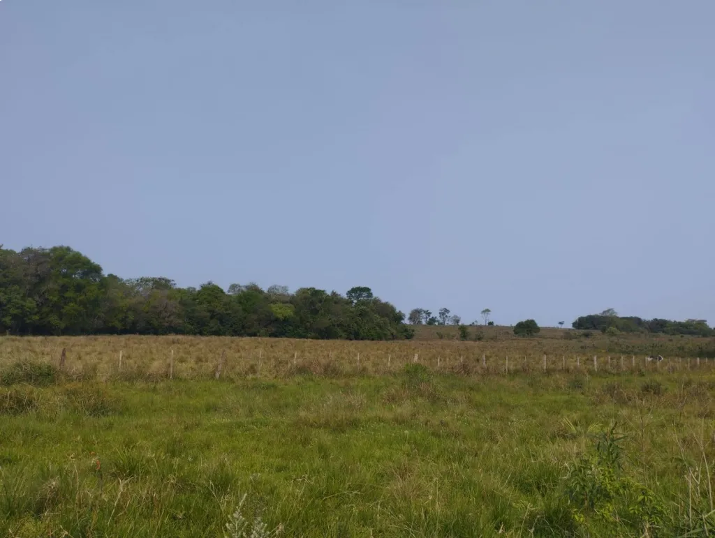 Campo con Salida al Rio Parana — foto 2
