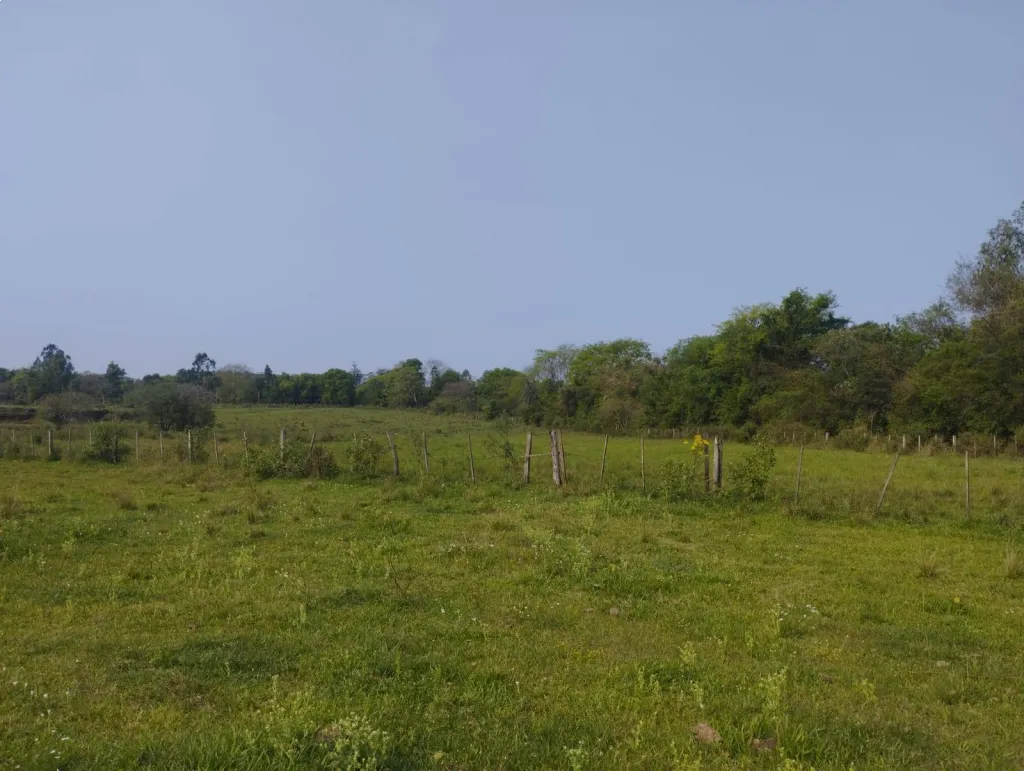 Campo con Salida al Rio Parana — foto 3