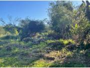 VENDO TERRENO EN OFERTA EN SURUBII
