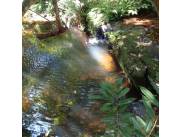 Terreno en venta en Piribebuy - Cerca de Chololo.