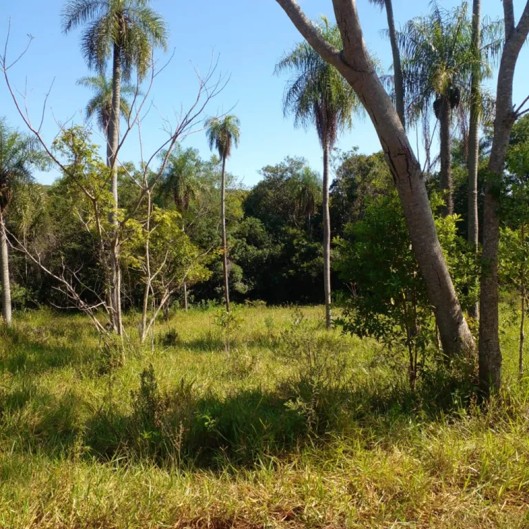 Terreno en venta en Piribebuy - Cerca de Chololo. — foto 2