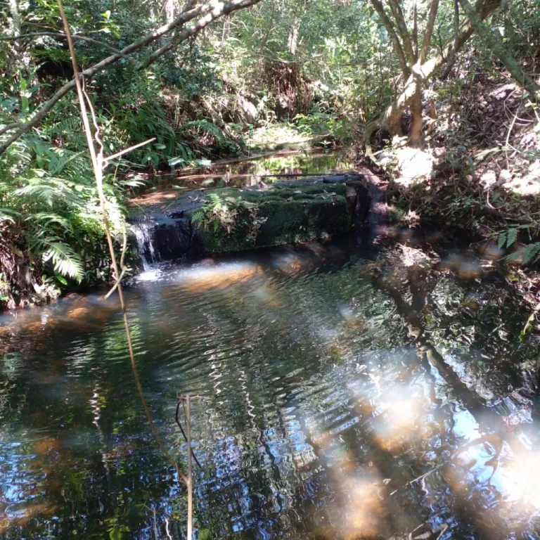 Terreno en venta en Piribebuy - Cerca de Chololo. — foto 3