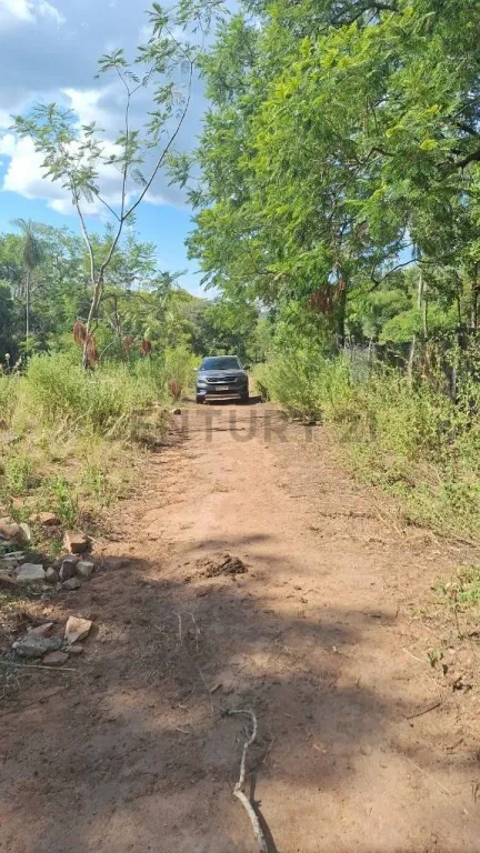 Terreno en venta en Ciervo Cuá – San Bernardino! — foto 2