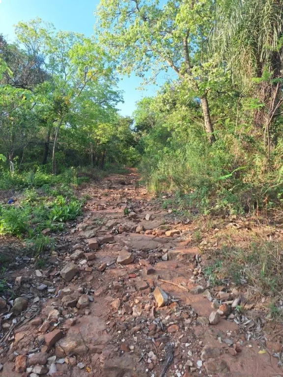 Terreno en venta en Ciervo Cuá – San Bernardino! — foto 3
