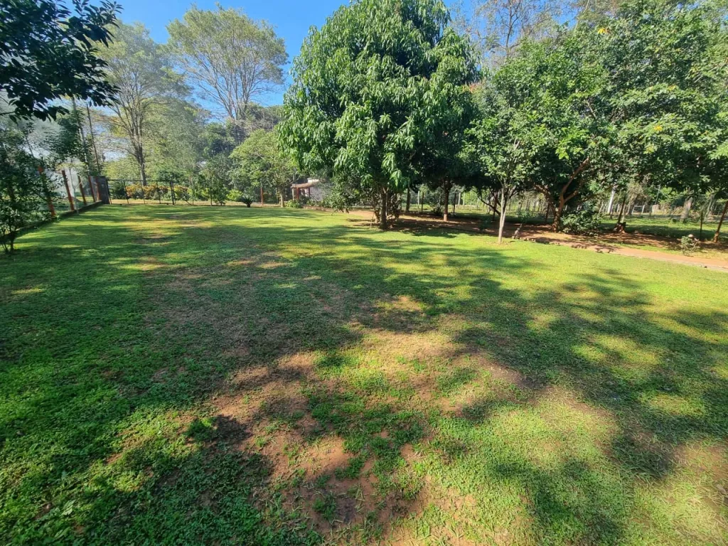 EN VENTA HERMOSA CASA, IDEAL PARA QUINTA, PROPIEDAD DE 3.885 M2,, UBICADO EN YAGUARON!! — foto 3