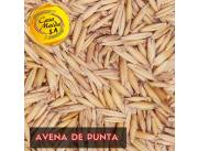 AVENA DE PUNTA y AVENA MACHACADA