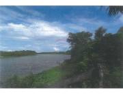VENDO ESTANCIA 1040 HECTAREAS-ARROYOS Y ESTEROS LINDA C/RIO PARAGUAY USO ACTUAL PECUARIA