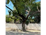 VENDO TERRENO SOBRE AVDA BRASILIA
