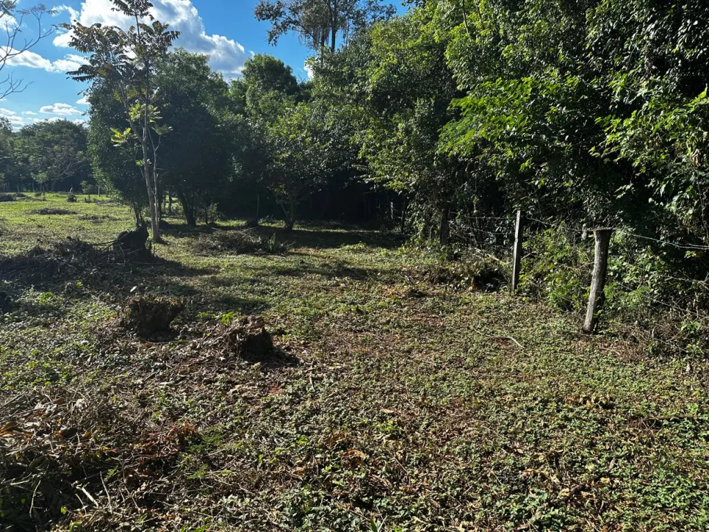 Vendo 7 lotes de 12x30 metros en chololo Poty- Paraguarí — foto 2