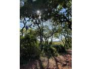 VENDO - Oportunidad Única en Bosques de Hermann- Areguá