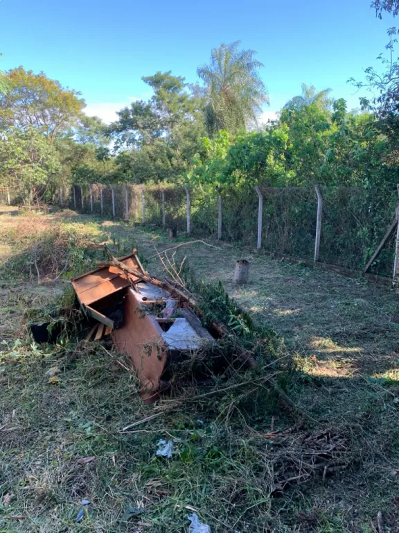 ALUILO AMPLIO DEPOSITOTINGLADO — foto 2