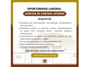 Auditor de Control Interno