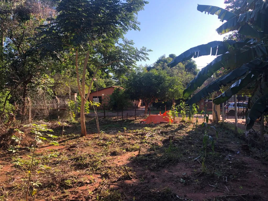 Vendo amplio terreno en inmejorable ubicacion de San Lorenzo — foto 3