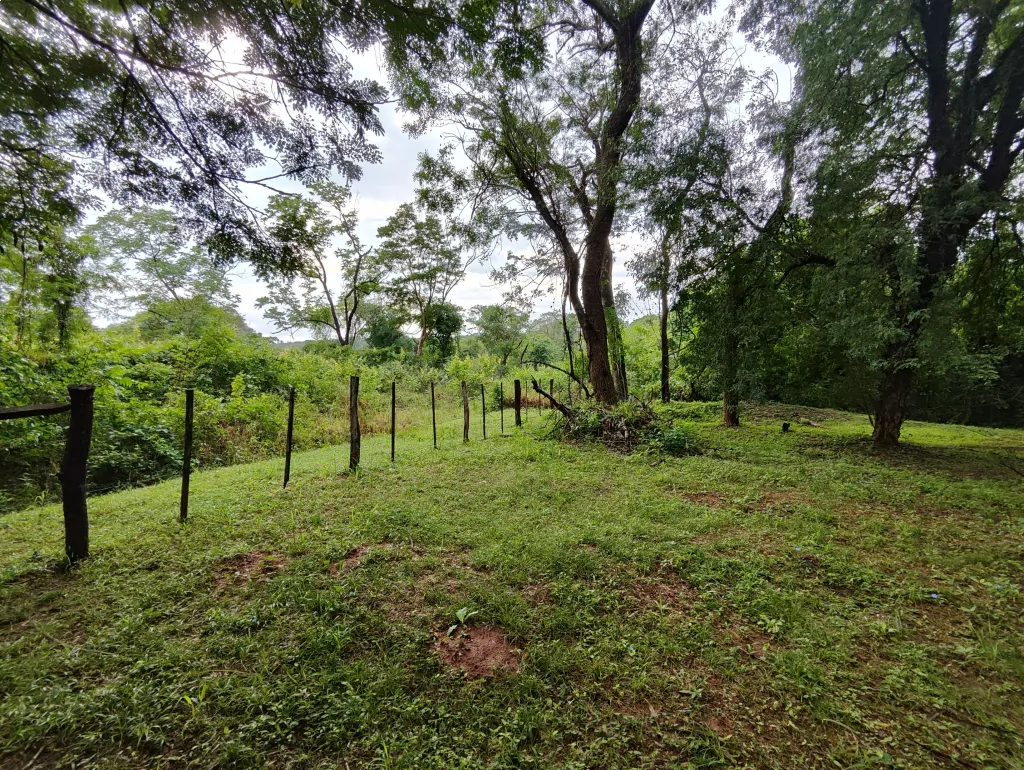 Hermoso terreno - Zárate Isla - Luque — foto 2