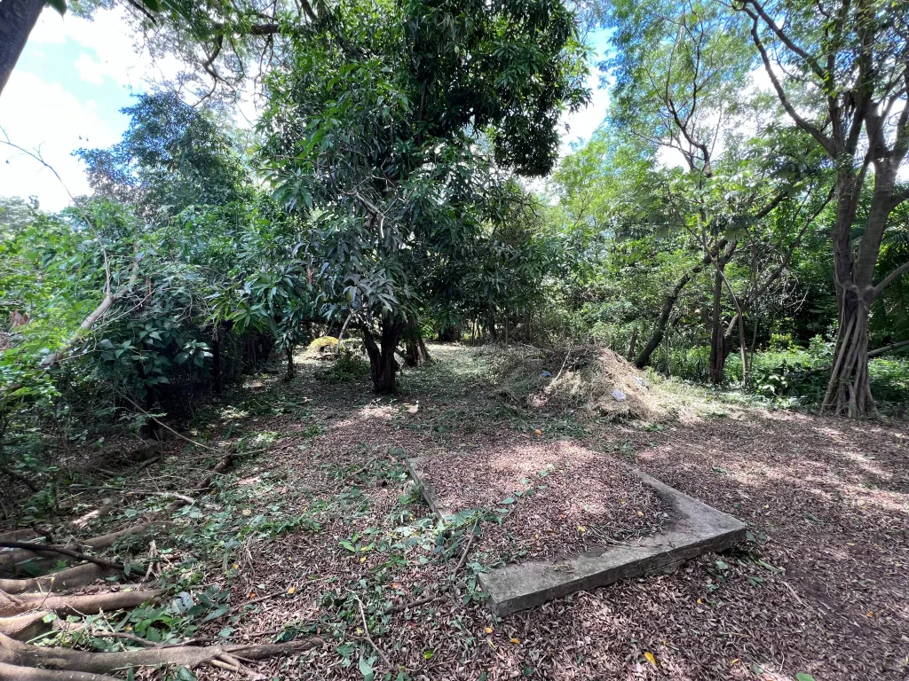 Vendo terreno con casa a refaccionar sobre la ruta luque - san bernardino — foto 3