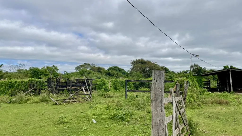 Granja en Primero de Marzo - 30 Ha. — foto 2