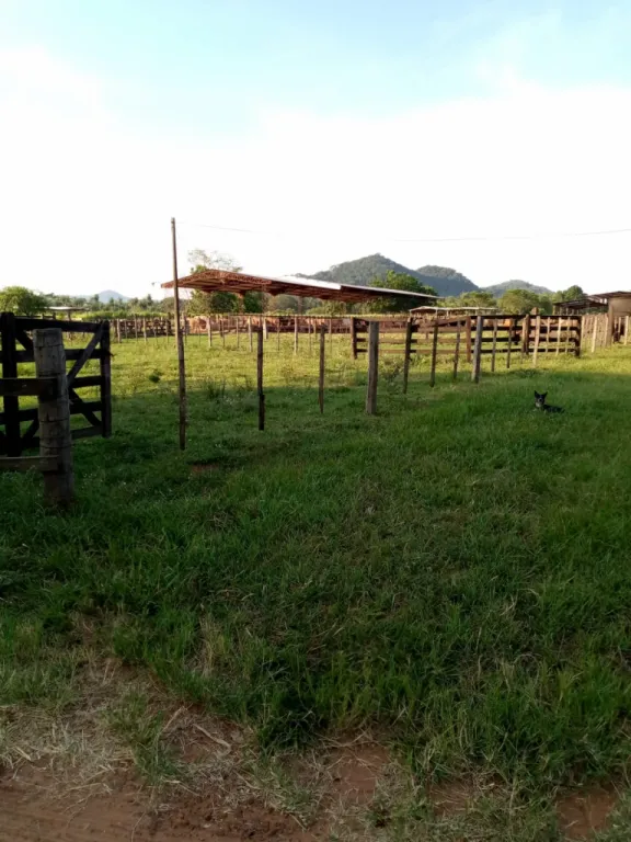 ESCOBAR, PARAGUARÍ, S RUTA: 139 HAS, APTAS P EXPLOTACIÓN AGRO-GANADERA, 1.300.000 USD. — foto 2