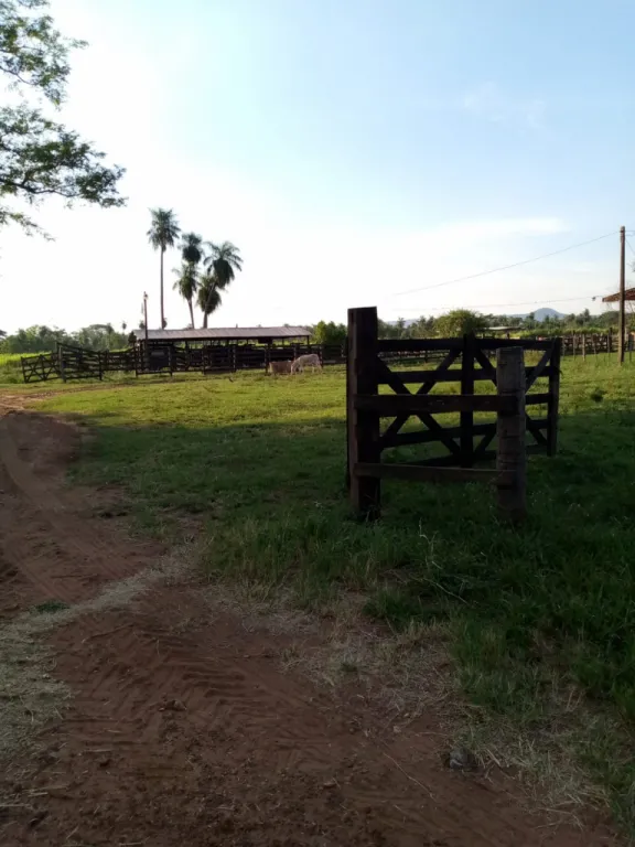 ESCOBAR, PARAGUARÍ, S RUTA: 139 HAS, APTAS P EXPLOTACIÓN AGRO-GANADERA, 1.300.000 USD. — foto 3