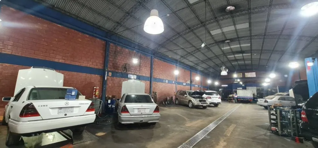 VENDO TINGLADO EN VILLA AURELIA — foto 2