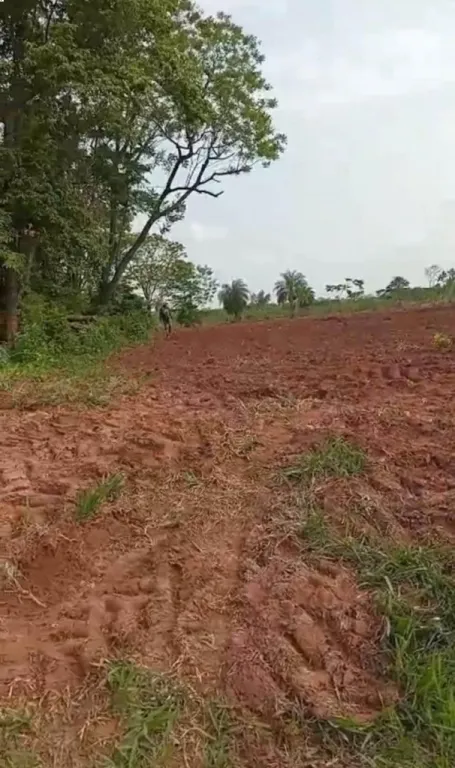 Vendo Terreno en Santani — foto 2