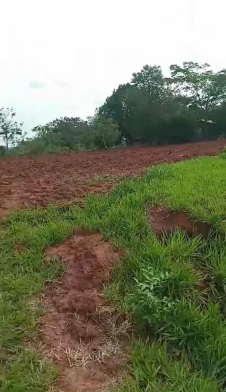 Vendo Terreno en Santani — foto 3