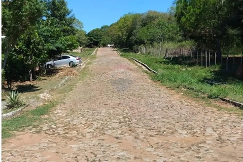 TERRENO EN NUEVA COLOMBIA — foto 2