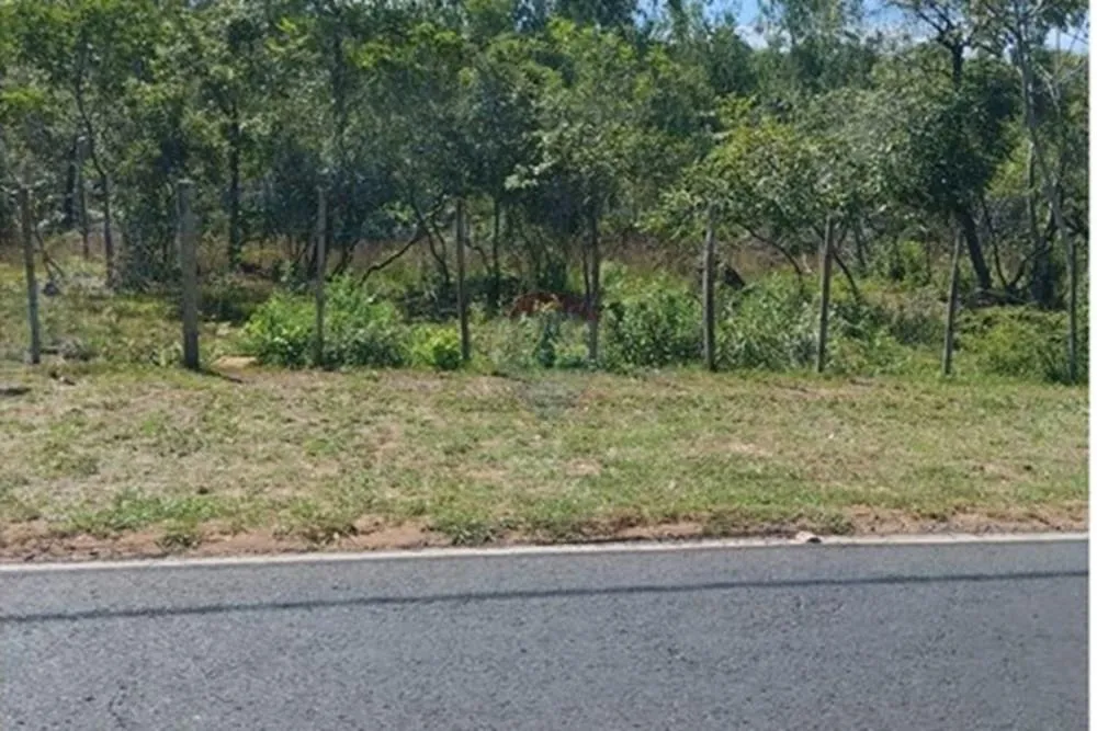 TERRENO EN NUEVA COLOMBIA — foto 3