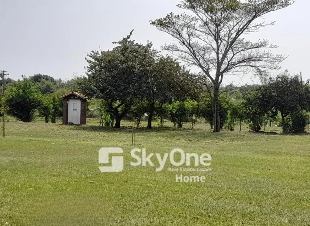 VENDO PROPIEDAD RURAL DE 8 HAS - GRANJA CON EQUIPAMIENTOS EN VILLETA — foto 3