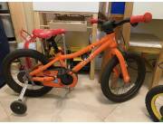 Bicicleta Scott roxter aro 16