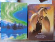 Cartas de Tarot