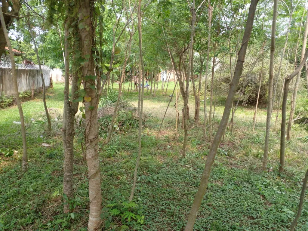 VENDO TERRENO EN EL BARRIO SAN VICENTE DE CARAPEGUA — foto 3