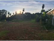 Terreno en Limpio