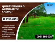 Querés vender o alquilar tu campo? te ayudamos