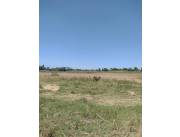 VENDO en NUEVA ITALIA Propiedad AGRICOLA 5 hectáreas a 200m de Ruta Asfaltada