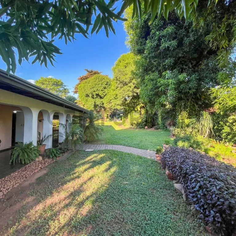 EN VENTA RESIDENCIA EN BARRIO JARA IDEAL PARA DESARROLLO INMOBILIARIO — foto 2