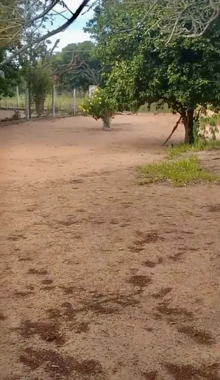 TERRENO EN ESCOBAR - DPTO. PARAGUARI — foto 2