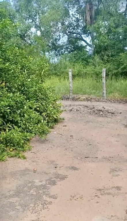 TERRENO EN ESCOBAR - DPTO. PARAGUARI — foto 3