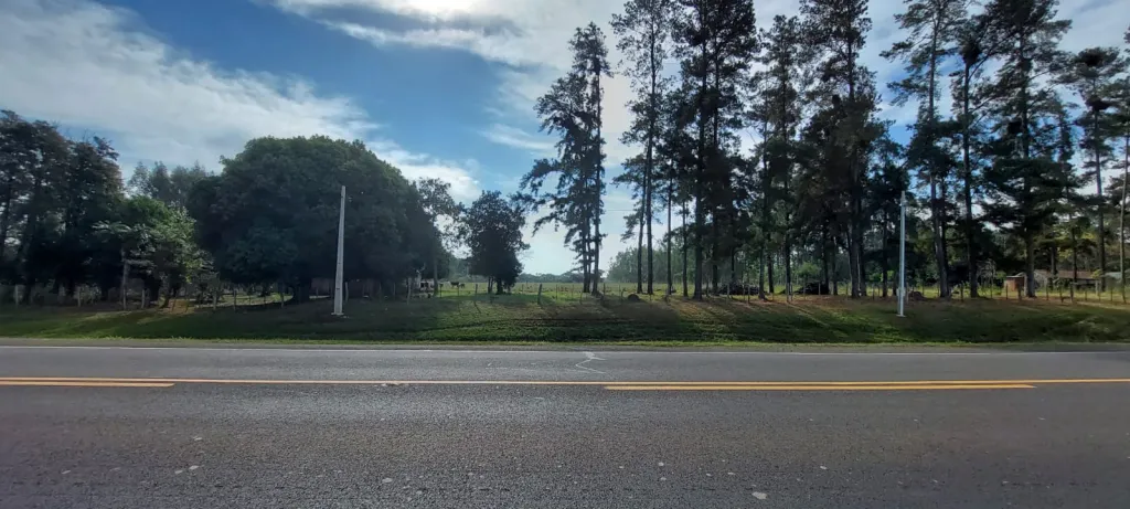 VENDO 7 HECTÁREAS SOBRE RUTA 1 EN CORONEL BOGADO — foto 2