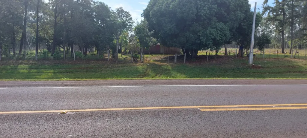 VENDO 7 HECTÁREAS SOBRE RUTA 1 EN CORONEL BOGADO — foto 3