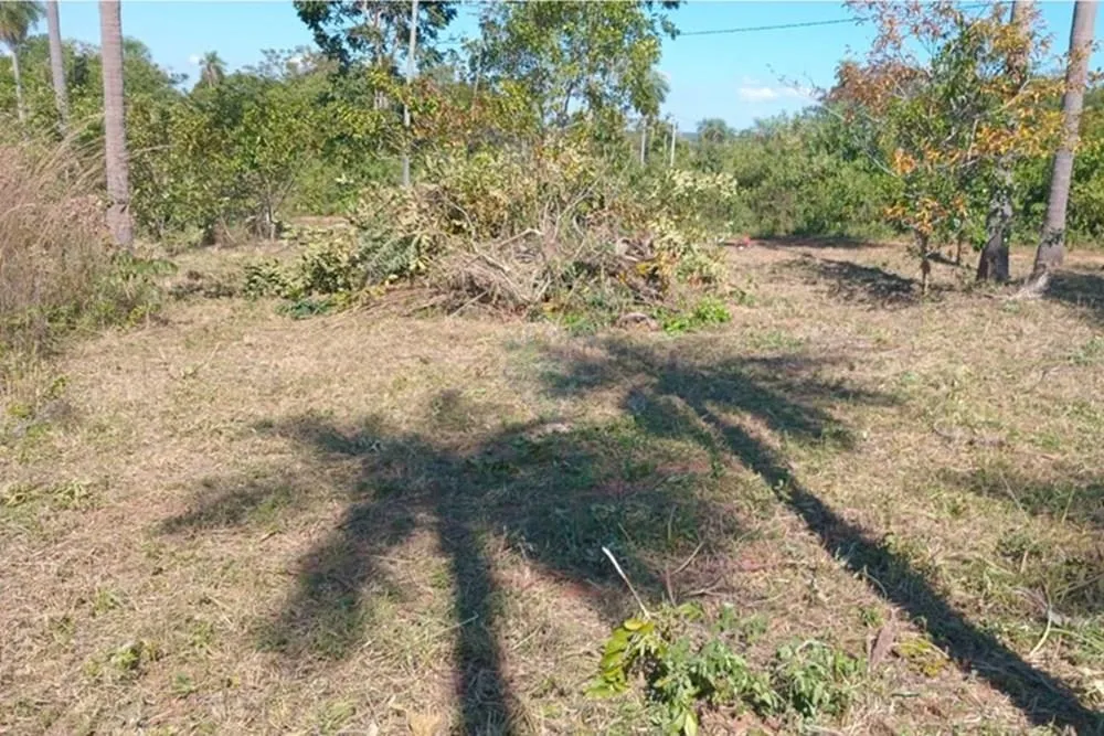 Vendo terreno en Loira grande — foto 2