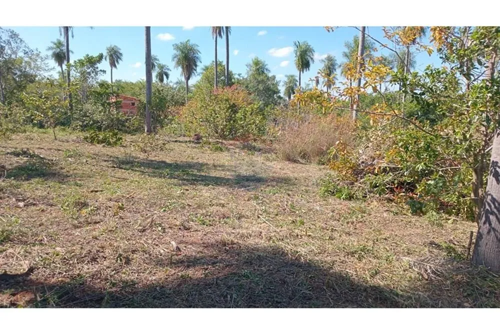 Vendo terreno en Loira grande — foto 3