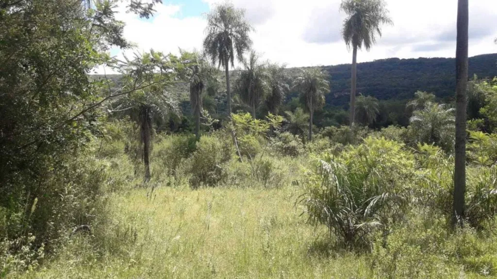 VENDO 17 HECTAREAS CON VISTA A 3 CERROS — foto 2