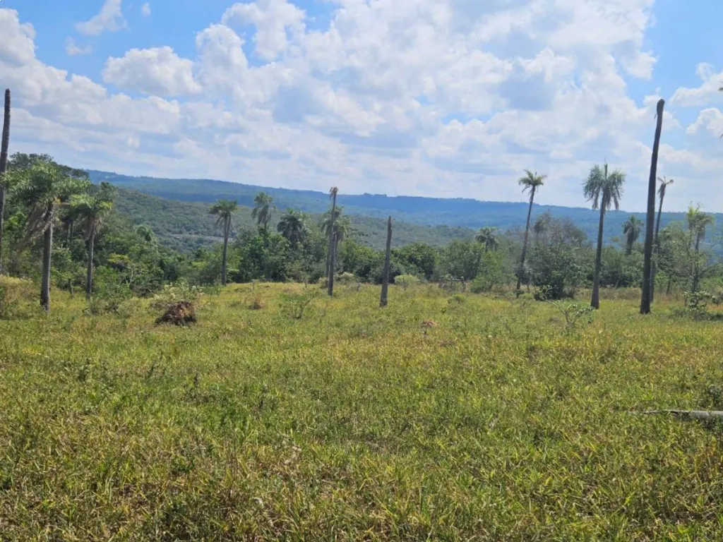 VENDO 17 HECTAREAS CON VISTA A 3 CERROS — foto 3
