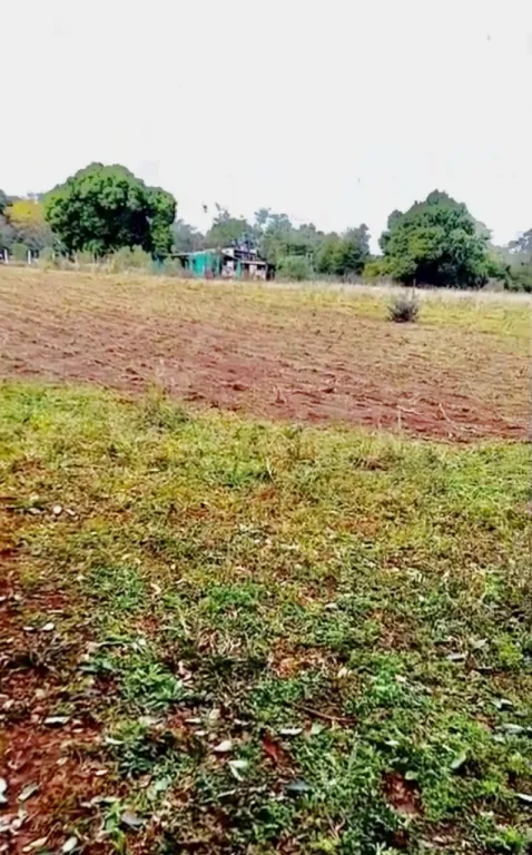 3 HA. DE CAMPO EN CAMBYRETA - Bº SAN BLAS INDEPENDENCIA — foto 2